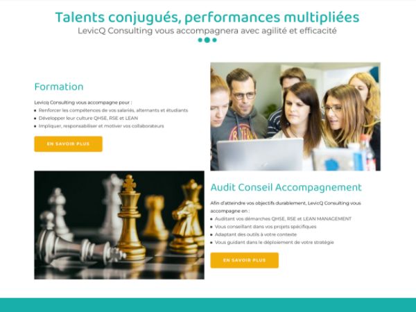 Accompagnement Levicq Consulting
