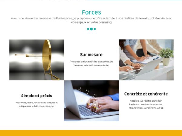 Forces Levicq Consulting