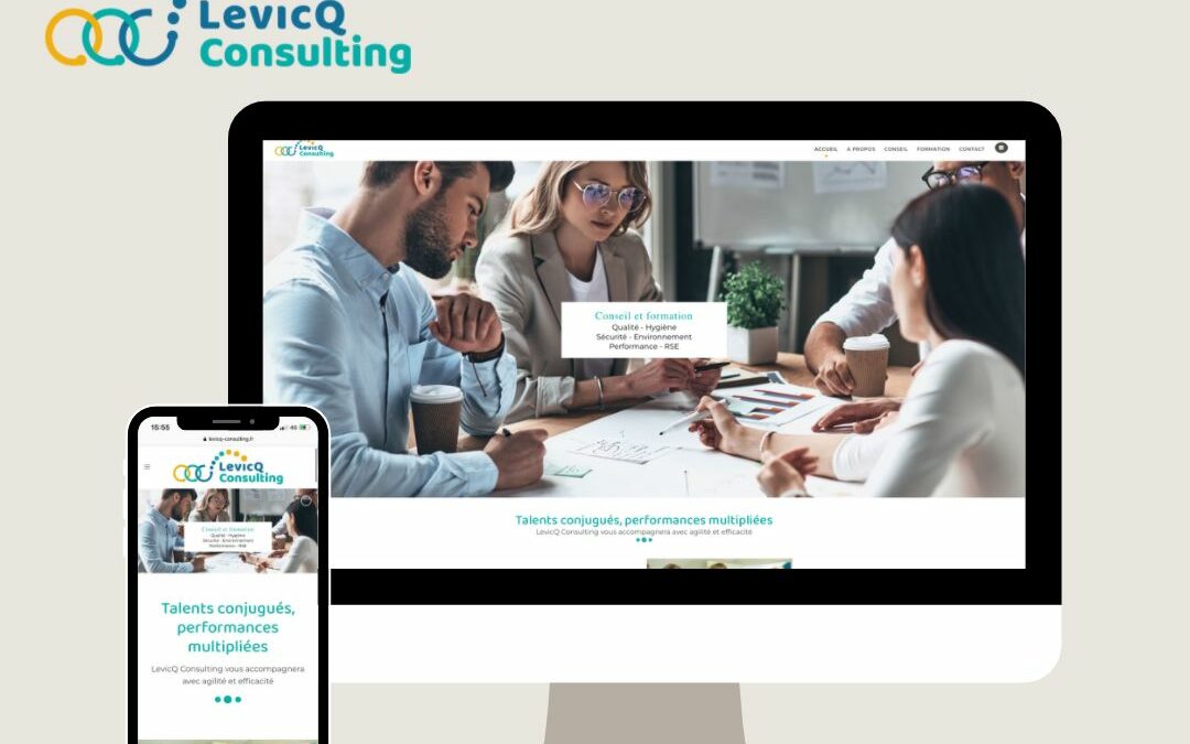 Levicq Consulting