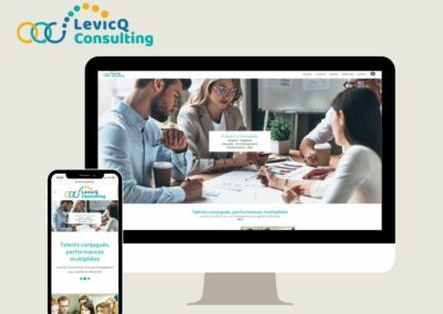 Levicq Consulting